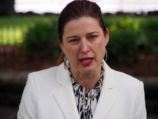 Labor MP Julie Collins speaks to the media on Parliament House lawns in Hobart on Monday November 4, 2019.