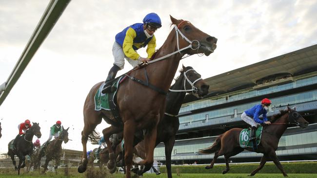 Royal Randwick Racecourse will have fans at The Everest on October 16. Picture: Mark Evans/Getty Images