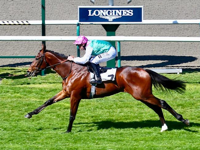 Cawdor victorious on debut in France last year. Picture: Supplied