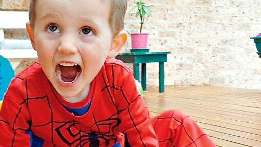 Three-year-old William Tyrrell has last seen in September 2014 at his foster grandmother’s home, from where he is believed to have been abducted.