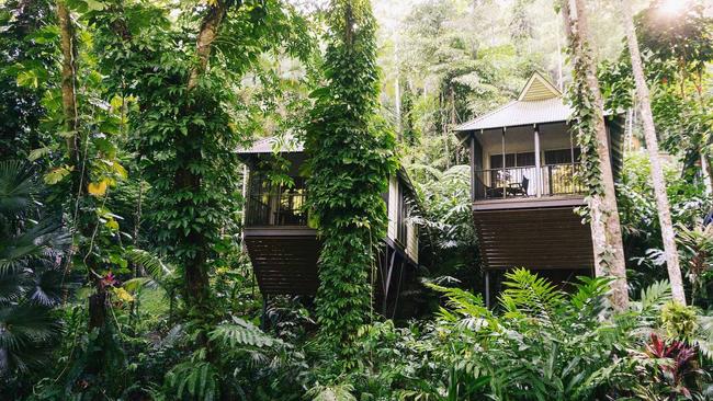 Two of the 15 villas at the Daintree Ecolodge.