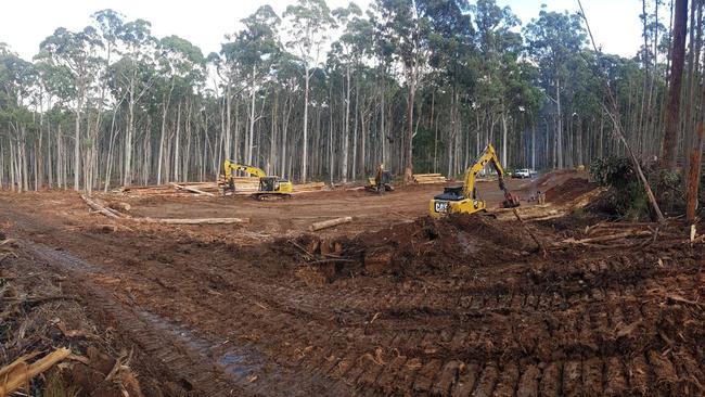 A VicForests work site at Babbington Hill in Wombat State Forest. Photo: Contributed