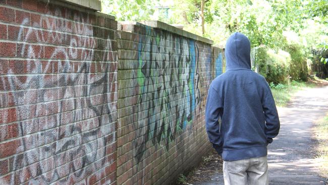 Procedures are in place to dismantle youth gangs causing the most harm.