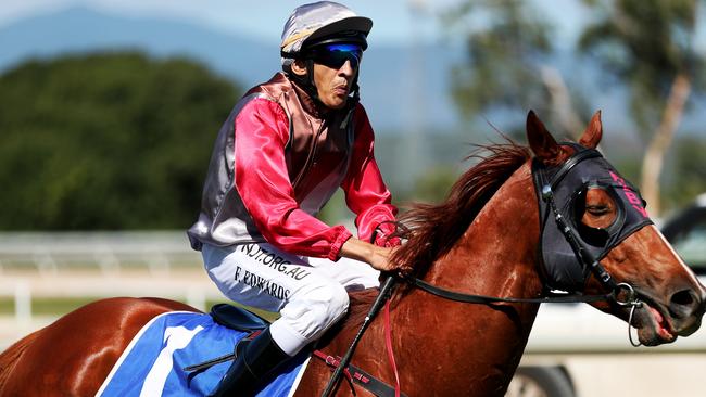 Jockey Frank Edwards. Picture: Alix Sweeney.