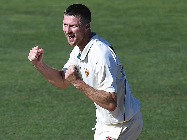 Jackson Bird is back taking wickets for Tassie.