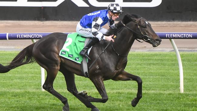 Gold Trip is $5 to win the Caulfield Cup. Picture: Reg Ryan - Racing Photos