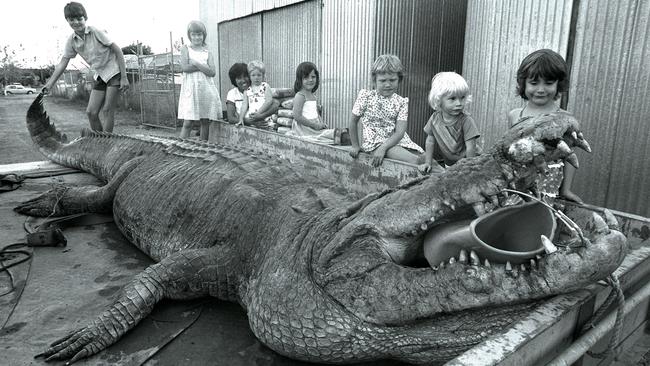 It would be amiss to not start this gallery with the most iconic of them all - Sweetheart. This 5.1m mature male croc weighed 780kg and gained notoriety in the ‘70s for attacking dinghies. Keep scrolling to read his story. Picture: Peter Bennett