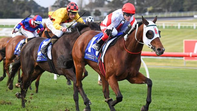 Nerone can bring his good Melbourne form to Rosehill on Saturday. Picture: Getty Images