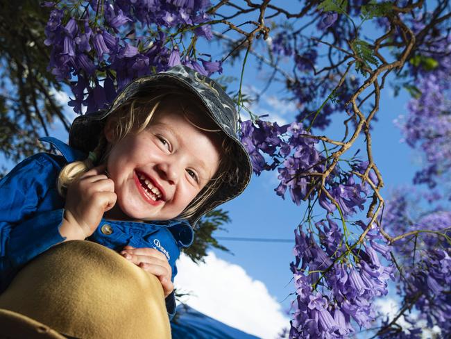 GALLERY: Goombungee Jacaranda Day returns after hiatus