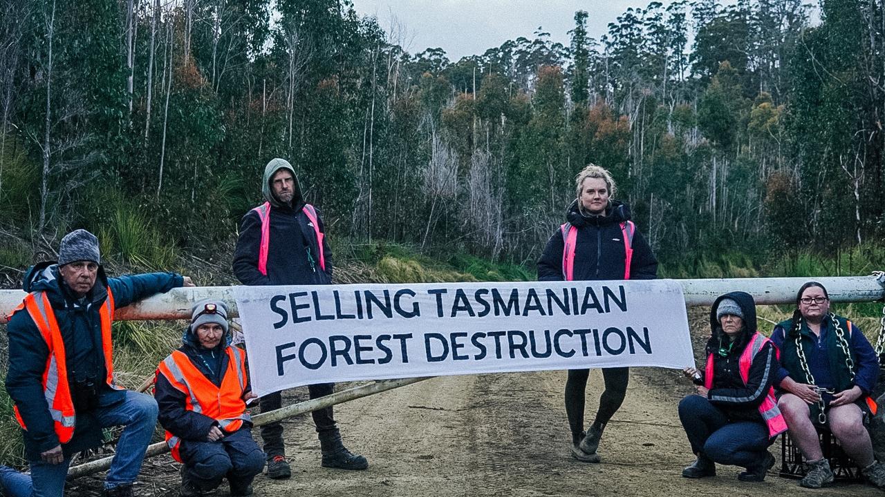 Bob Brown Foundation protesters are protesting at a logging area in Southern Tasmania in hopes to save endangered swift parrot. Photo: Supplied