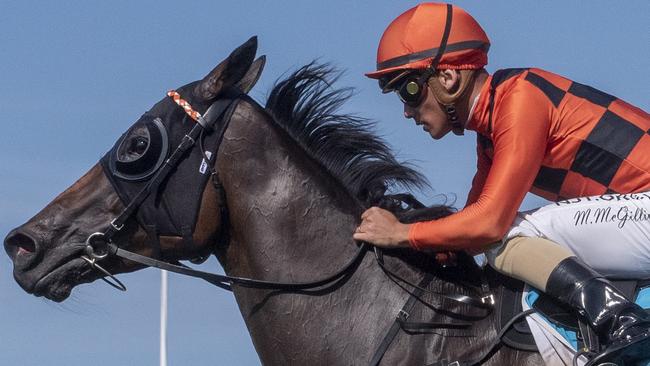 Jockey Matthew McGillivray riding Peppi La Few to victory in the Class 6 Handicap (1400m) at the Gold Coast Turf Club on Friday, April 3, 2020. Picture credit: Greg Irvine, Magic Millions.