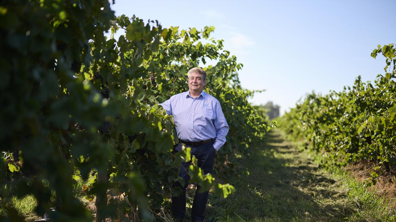 How Casella family turned Yellow Tail wine from experiment to worldwide ...