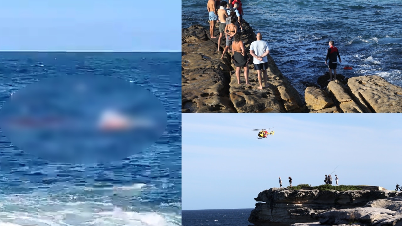 Bystanders films moment a swimmer is reportedly attacked by a great