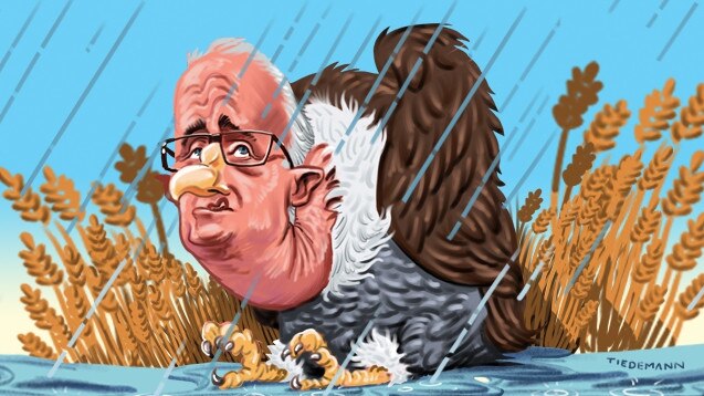 Malcolm Turnbull as a vulture. Artwork: John Tiedemann