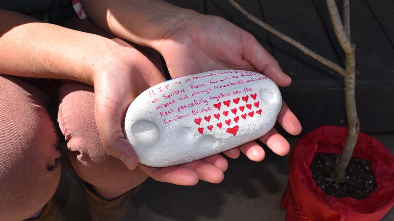 RAINBOW BRIDGE: The memorial stone had red hearts to symbolise each life lost at Splitters Farm during the dog attack. Picture: Rhylea Millar.