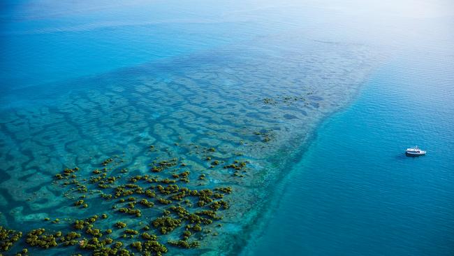 Holmes Reef, next to Ngurapai (Horn Island) in the Torres Strait Islands archipelago. Photo: Jonathan Cami.