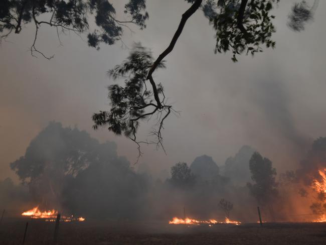 Fires burn trees on a residential property as bushfires hit the area around the town of Nowra in the Australian state of New South Wales on December 31, 2019. - Thousands of holidaymakers and locals were forced to flee to beaches in fire-ravaged southeast Australia on December 31, as blazes ripped through popular tourist areas leaving no escape by land. Picture: Saeed Khan/AFP