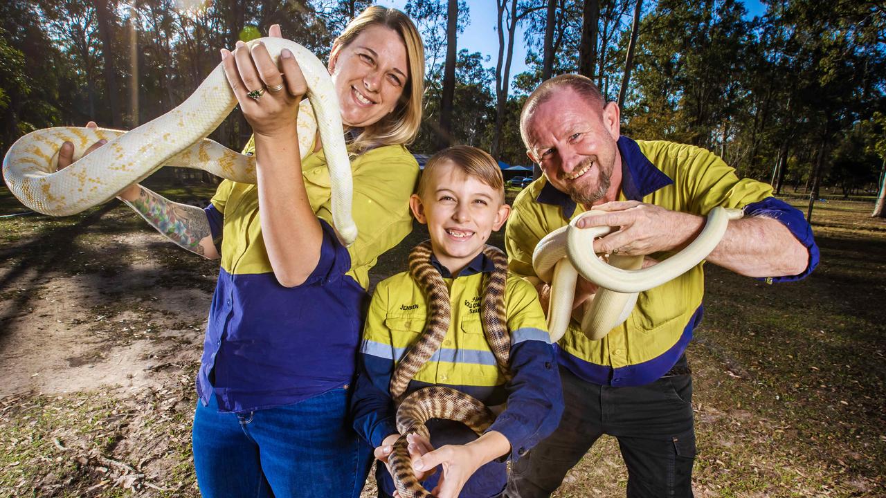 Harrison's Gold Coast and Brisbane Snake Catcher