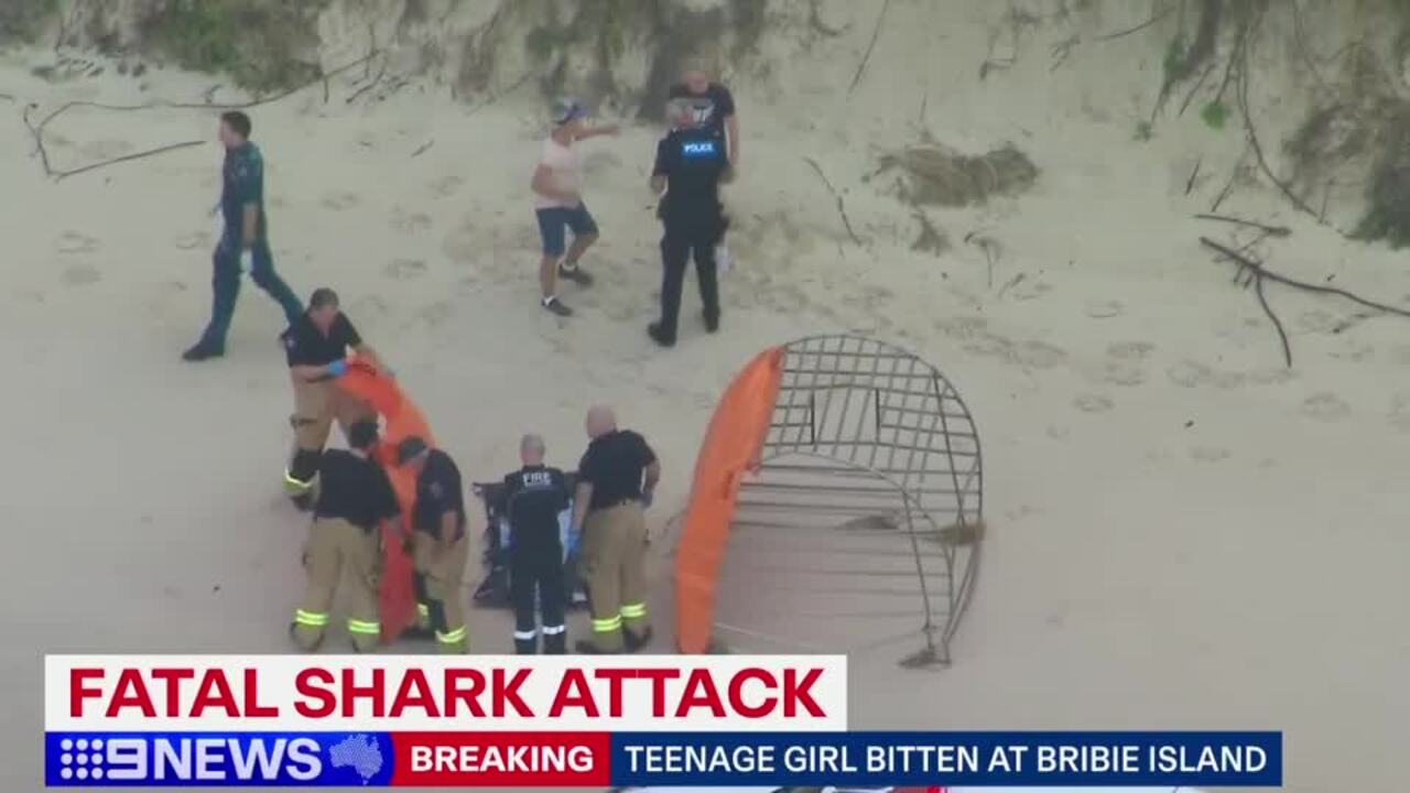 Teenage girl killed in shark attack on Woorim Beach