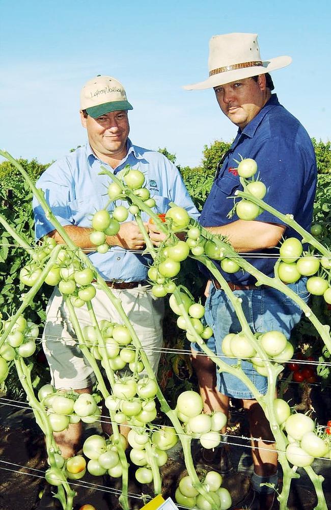 Representing Koorelah Farms at a Bowen Tomato Growers Field Day in the early 2000s. Willcox, right, worked on and managed the family farm for more than 20 years, before selling his stake to his sister in 2010. Picture: File