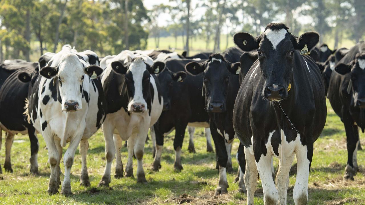 Australian dairy 2023-24 opening prices: Nine buck minimum needed | The ...
