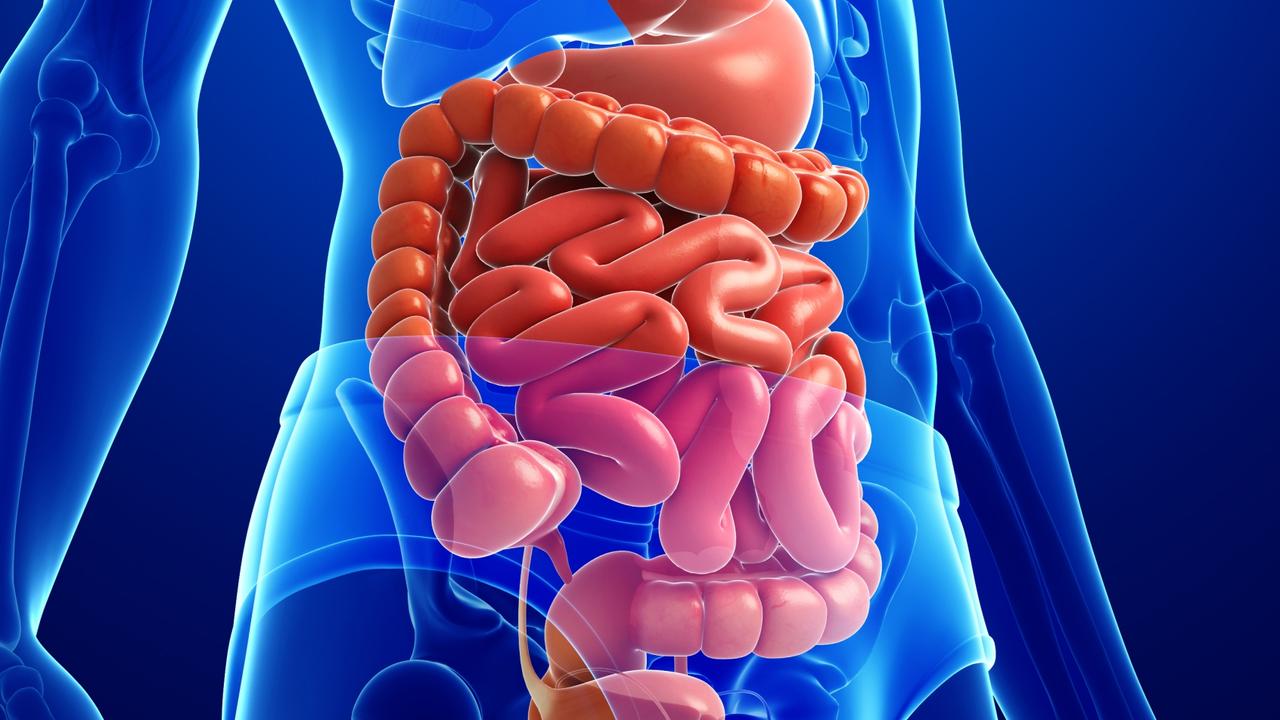 Did you have gut problems in 2024? You’re not alone