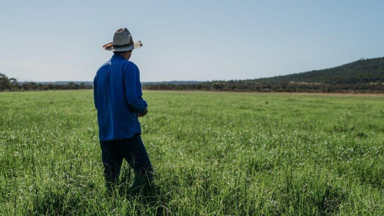 A flood irrigated hay farm is being offered for lease in the Flinders Shire near Hughenden.