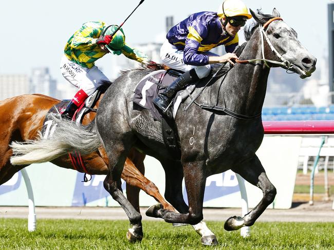 Turnbull Stakes Day at Flemington Racecourse, Race 3 - Gilgai Stakes, (R) Dwayne Dunn onboard Chautauqua wins as Dean Yendall onboard Scarlett Billows looks on. . 4th October 2015. Picture: Colleen Petch.