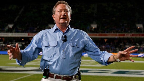 A man of many roles … Andrew 'Twiggy' Forrest. Picture: Paul Kane via Getty Images