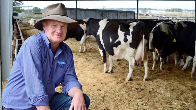 Colin McKenna on his dairy farm. PICTURE: ZOE PHILLIPS