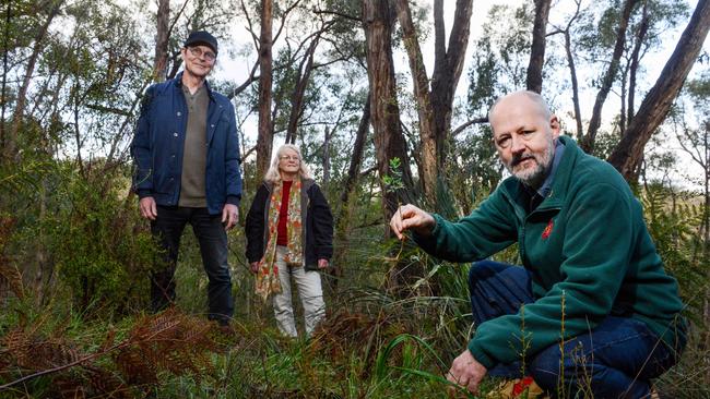 Ironbank resident Peter Ashenden, right, holds a Montpellier broom weed with his wife Katrina Matthews and neighbour Norm Allan. They are part of the ‘OliBel Project’ for conservation efforts on private land. Picture: Brenton Edwards