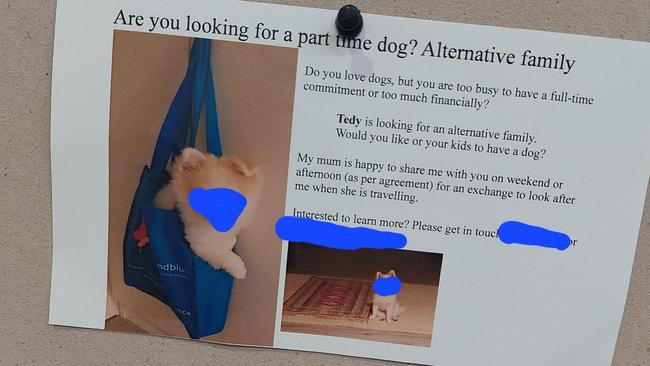 Tedy’s owner has made a cheeky ploy to source free pet sitting. Picture: Reddit