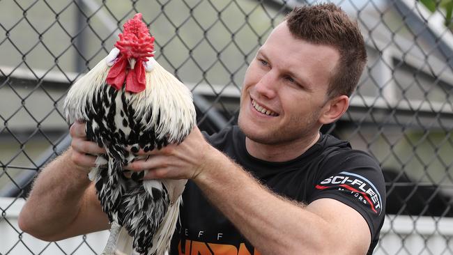 Jeff Horn chases chooks to hone his preparation. Pic Peter Wallis