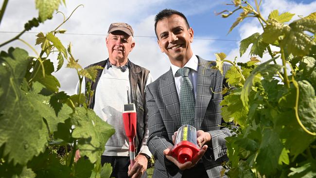 Consilium Technology bought vineyard digital monitoring business MEA in 2020. Picture: Keryn Stevens