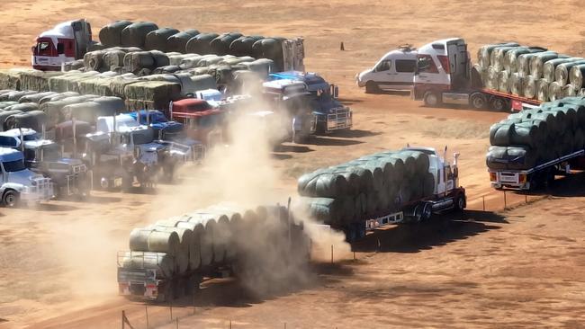 Aussie Hay Runners and other charities are delivering 100 truckloads of donated hay to drought-stricken farmers across South Australia. Picture: Chris Woodman