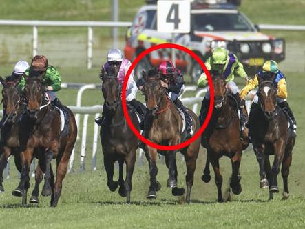 Reluctant Diva (circled) did a good job on debut at Scone and can go on with the job at Muswellbrook on Tuesday. Picture: Bradley Photos