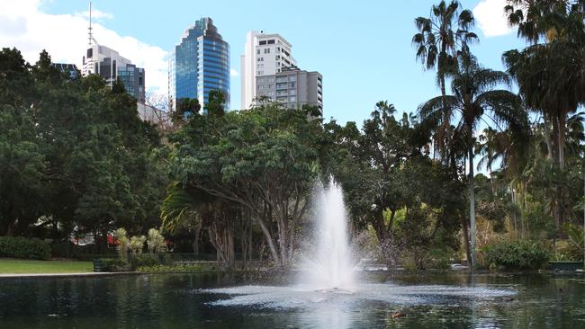 Brisbane Botanical Gardens