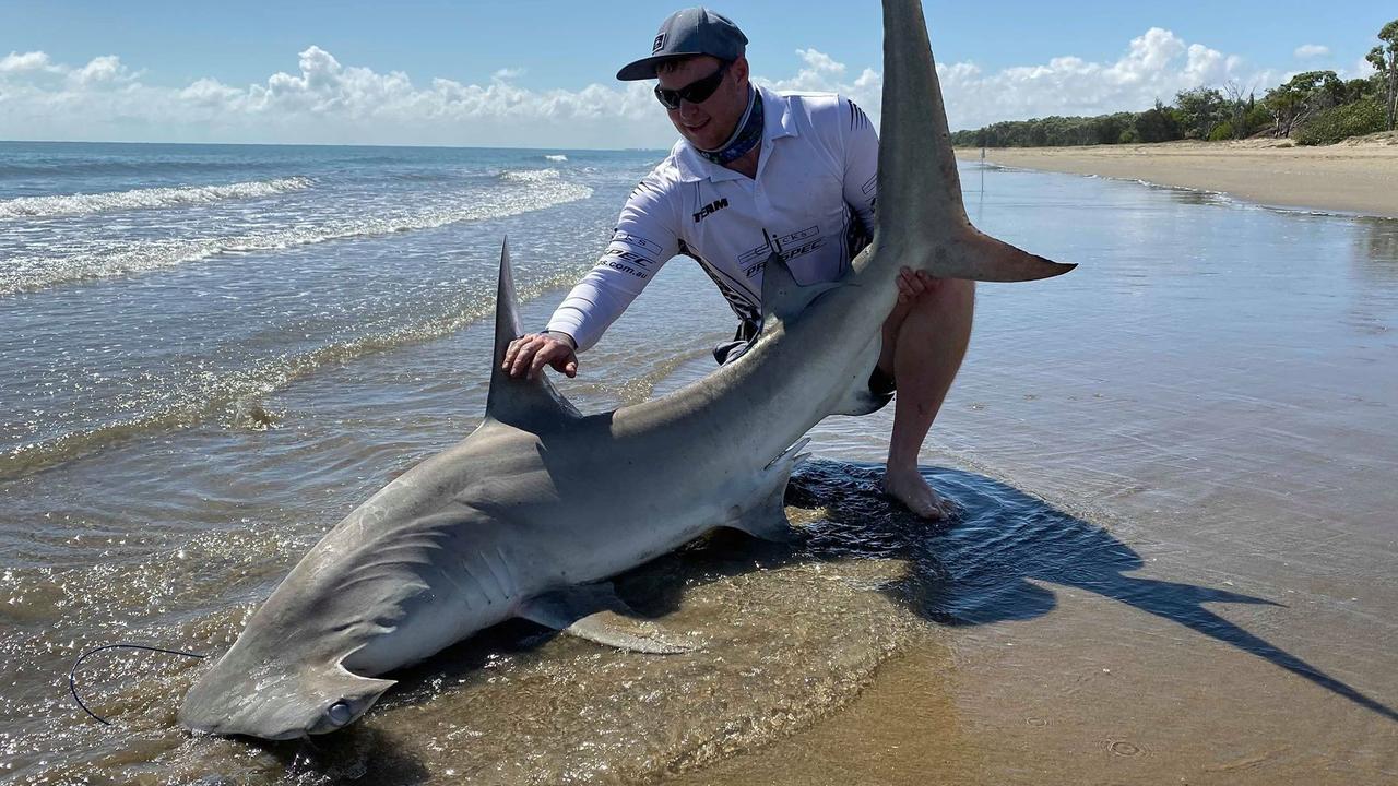 Non-lethal shark hooks 'won't work in Qld', The North West Star