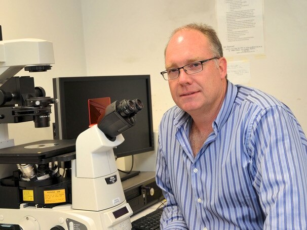 A/Professor Michael Beard |  Deputy Director Research Centre for Infectious Disease |  School of Biological SciencesHead, Viral Pathogenesis Research Laboratory