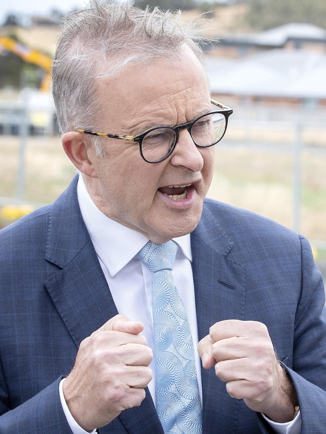 Anthony Albanese. Picture: Chris Kidd