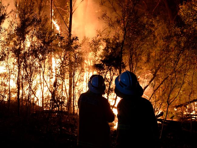 NSW RFS firefighters battling a bushfire close to homes on Patterson St at Springwood in the Blue Mountains. Picture: Dan Himbrechts