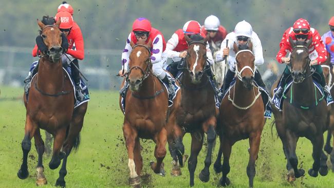 Smart Image (left) storms to victory at Rosehill gardens. Picture: Getty Images