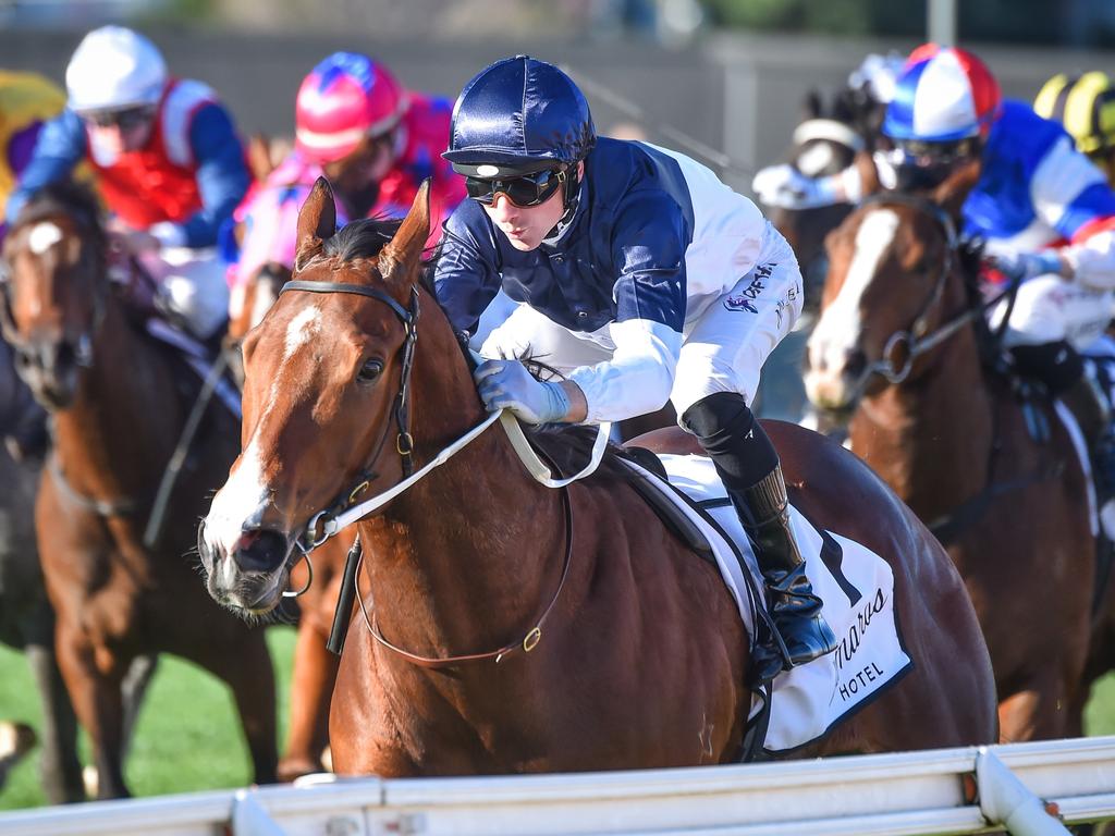 Victoria Racing Horse Racing News, Form Guides & Results