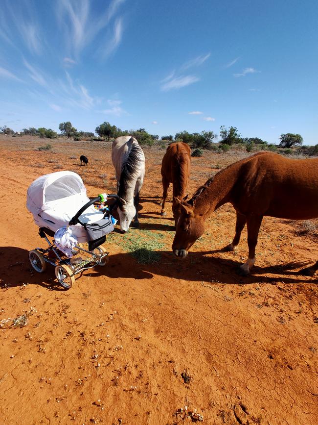 Equine babysitters with little Lindsay.