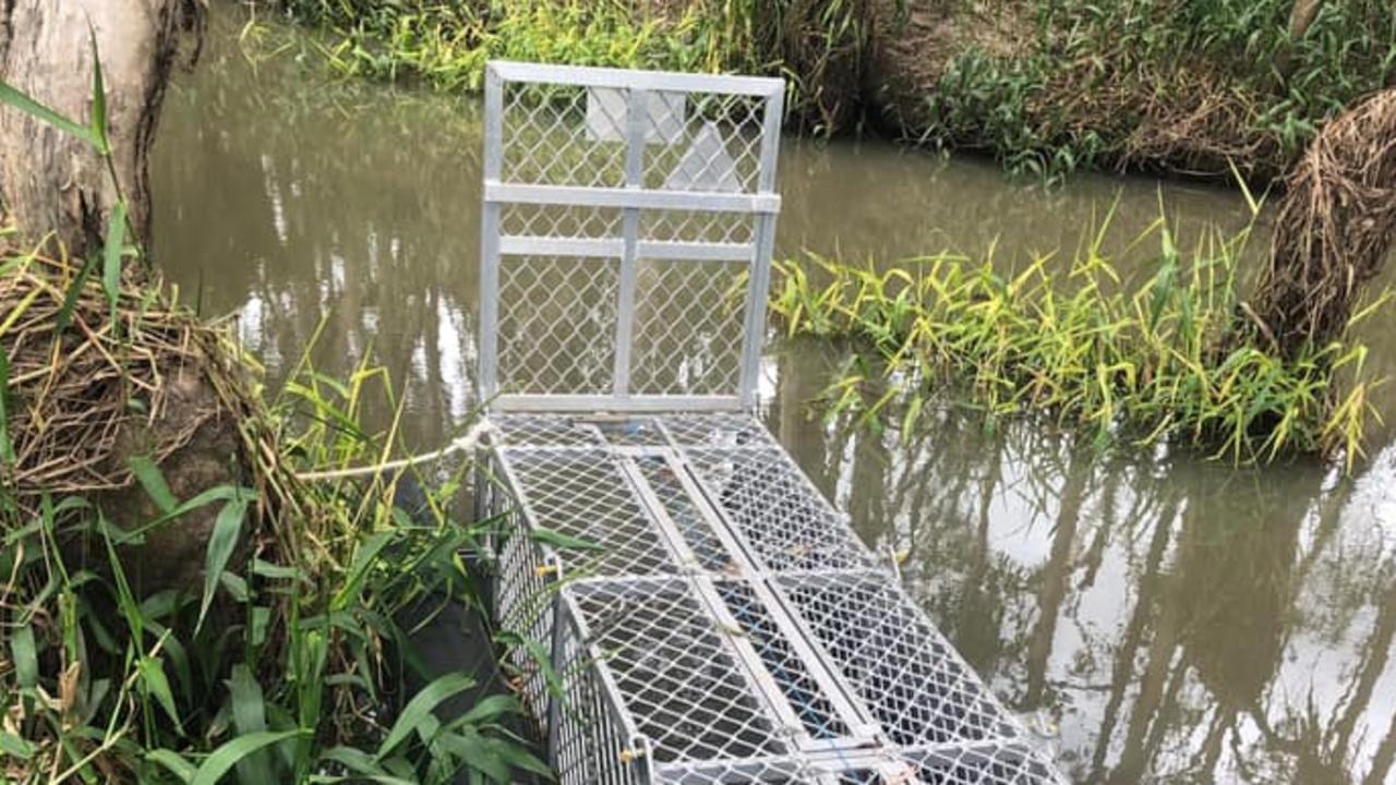 Fashion bites at Mareeba Melaleuca Crocodile Farm as high-end