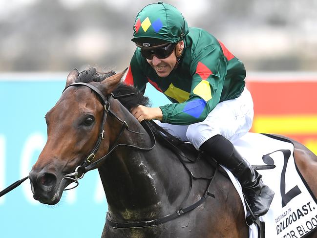 Jockey Ryan Maloney rides Alligator Blood to victory in race 6, the Magic Millions 3YO Guineas, during Magic Millions Race Day at Aquis Park on the Gold Coast, Saturday, January 11, 2020. (AAP Image/Albert Perez) NO ARCHIVING, EDITORIAL USE ONLY