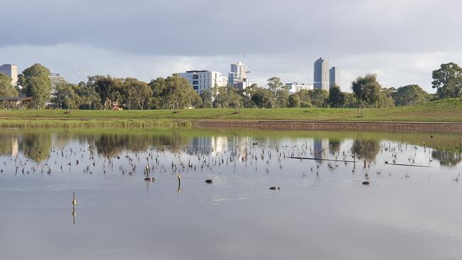 AFTER: The Victoria Park wetlands on June 1. Picture: Colin James