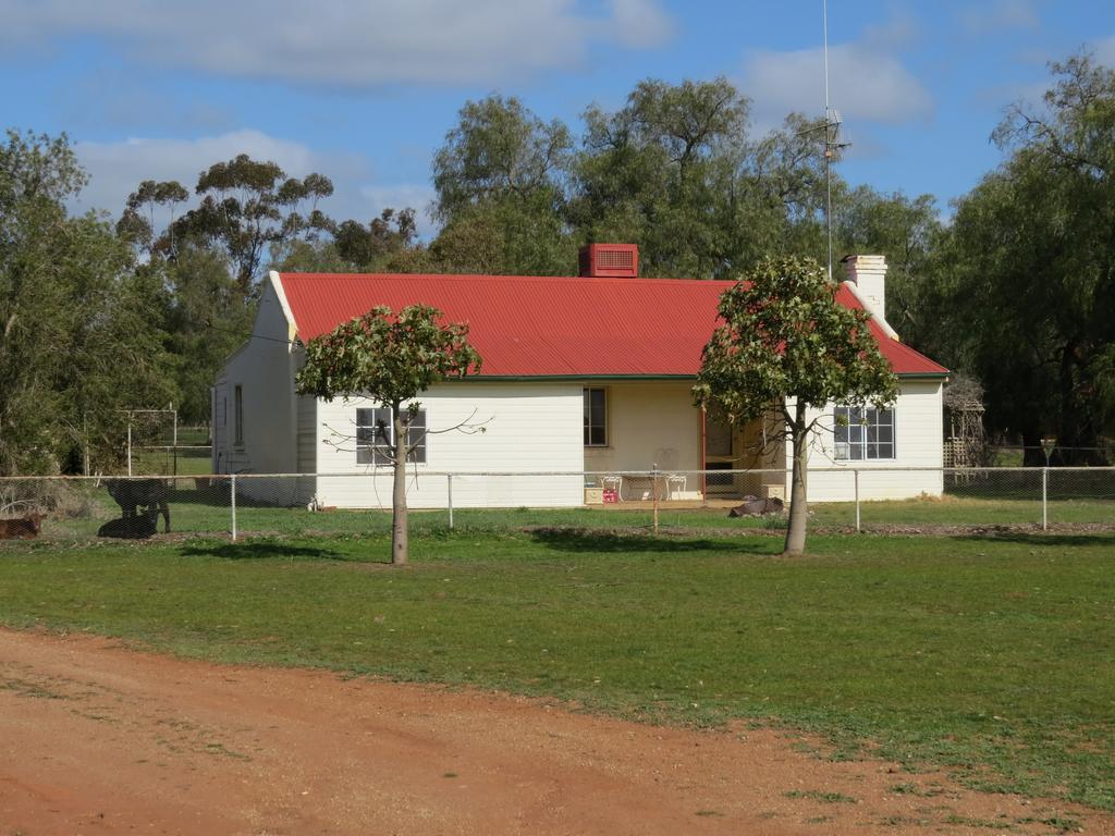 Nangunia Station has 1220ha of arable land, produces prime lamb and wool and it is suitable for both winter and summer crops.