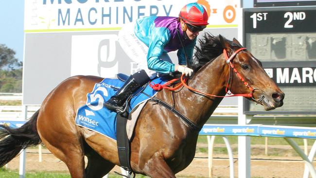 Wascaly winning comfortably at Wangaratta on debut. Picture: Racing Photos