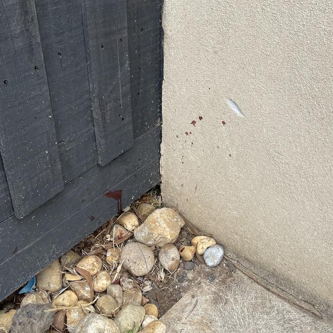 Blood spots near the scene where a teen was shot in Truganina.